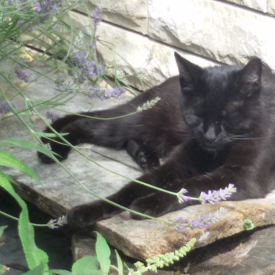 unsere Mucki